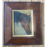 OIL PAINTING OF A HORSE'S HEAD, FRAMED, UNSIGNED (25.5 cm x 19.5 cm)