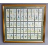 50 COPE'S GOLFERS CIGARETTE CARDS, FRAMED (46.5 cm x 51.5 cm INC. FRAME)