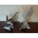 LLADRO PORCELAIN GROUP OF TWO LONG-TAIL BIRDS (H: 17 cm) AND A LLADRO MODEL OF A DOVE (H: 29 cm) [