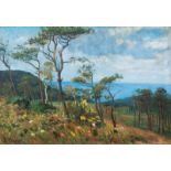 Reserve: 7500 EUR    Büchsel  (Stralsund 1867 - Stralsund 1957)  View over Hiddensee  Oil/canvas,