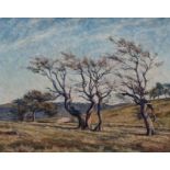 Kaiser (Villingen 1891 - Freiburg/Br. 1974) Trees Oil/canvas, 58,5 x 68,5 cm, lo. le. sign. Fritz