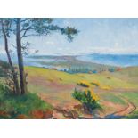 Büchsel (Stralsund 1867 - Stralsund 1957) View of the Island of Hiddensee Oil/canvas, 47 x 65,5