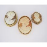 A MISCELLANEOUS COLLECTION OF CAMEO BROOCHES of various sizes and designs, each depicting the