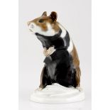 A Meissen model of a hamster first modelled in 1913 by Max Bochmann, decorated in brown and navy