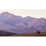 Daan Vermeulen, LANGKLOOF MOUNTAINS, signed and dated 93, oil on canvas board, 29,5 by 50,5cm