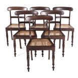 A SET OF SIX CAPE REGENCY STINKWOOD SIDE CHAIRS each curved top rail above a curved mid-rail,