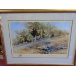 A framed and glazed limited edition David Shepherd print of lions titled 'The two gentlemen of