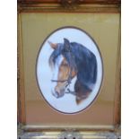 Gilt framed water colour of a horse titled "Gypsy" by Mary R Turner