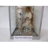 Modern taxidermy of a squirrel "Squirrel with Nuts"