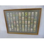 Framed and glazed set of botanical cigarette cards