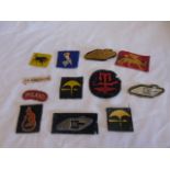 Collectionn of various sew-on badges