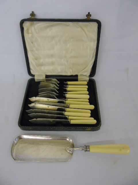 Cased fish set and plated crumb scoop.