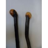 2 Rustic walking sticks