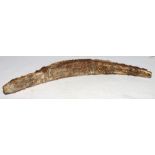 Sumatra, Batak, carved buffalo rib bone