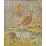 DONALD WATSON (1918 - 2005)
Grouse
Signed, oil on canvas, 59.5cm x 49cm.   ARR