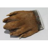 Otter's paw mounted as a brooch, in silver, Chester 1915.