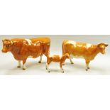 Beswick model of a Jersey bull, 'Ch. Sabrina's Sir Richmond', with a cow and calf.  (3)