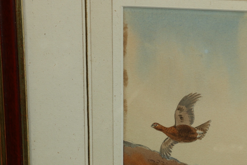 JOHN CYRIL HARRISON ARR
Grouse in flight
Watercolour, signed, 22cm x 31cm CONDITION REPORT: Painting - Image 2 of 4