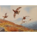 JOHN CYRIL HARRISON ARR
Grouse in flight
Watercolour, signed, 22cm x 31cm CONDITION REPORT: Painting