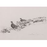 JONATHAN SAINSBURY ARR
Black Grouse in trees by snowy loch
Watercolour, signed and dated 2001,