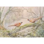 JONATHAN SAINSBURY ARR
Pheasants in woodland
Signed, watercolour,