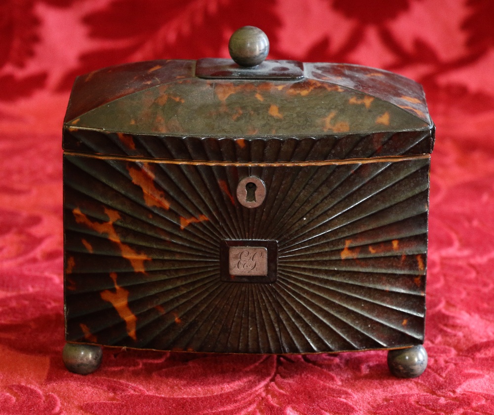 Regency tortoiseshell bowfronted two-division tea caddy on ball feet with spherical knop, 18cm x