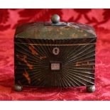 Regency tortoiseshell bowfronted two-division tea caddy on ball feet with spherical knop, 18cm x