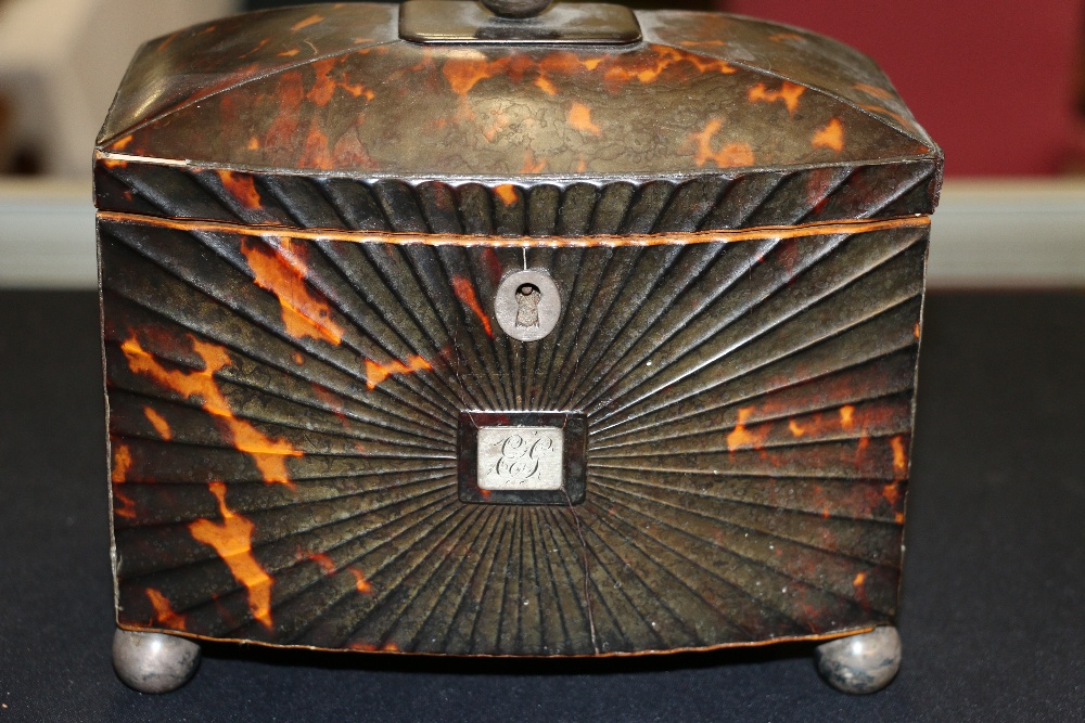 Regency tortoiseshell bowfronted two-division tea caddy on ball feet with spherical knop, 18cm x - Image 3 of 8