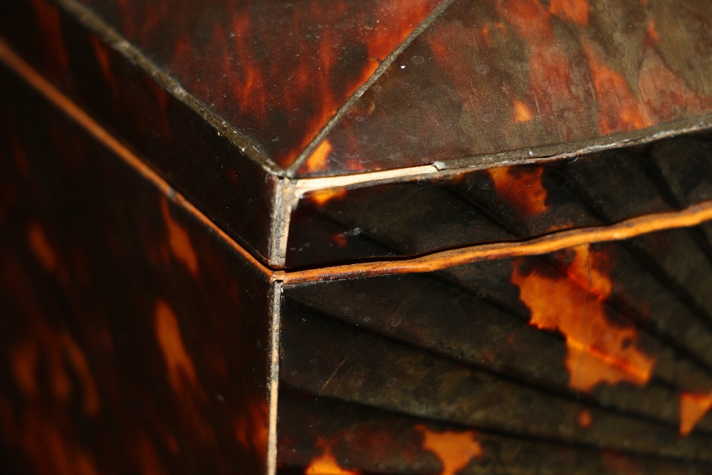 Regency tortoiseshell bowfronted two-division tea caddy on ball feet with spherical knop, 18cm x - Image 2 of 8