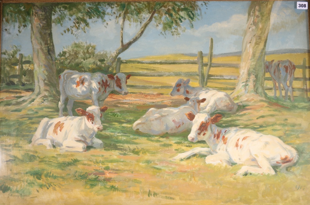 J MURRAY THOMSON
Ayrshire calves
Signed, oil on canvas,