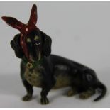An Austrian cold painted bronze dachshund with toothache! 5cm tall, 4cm long
