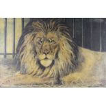 Diana Parker (1917-1971)
Lion,
oil on canvas, 
signed,