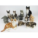 A collection of ten Winstanley model cats, with glass eyes, tallest 21.