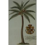 After George Dionysius Ehret,
four colour botanical prints,
two for The Prince of Wales,