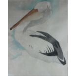 Meryl Watts (1910-1992),
colour wood cut,
pelican,
labelled verso,