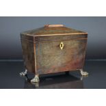 A Regency rosewood two division tea caddy, on gilt brass paw feet,