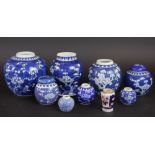 A Chinese prunus pattern blue and white vase, meiping shape; six prunus pattern ginger jars,