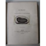 DUDLEY ILLUSTRATED BY PHOTOGRAPHS, first edition,