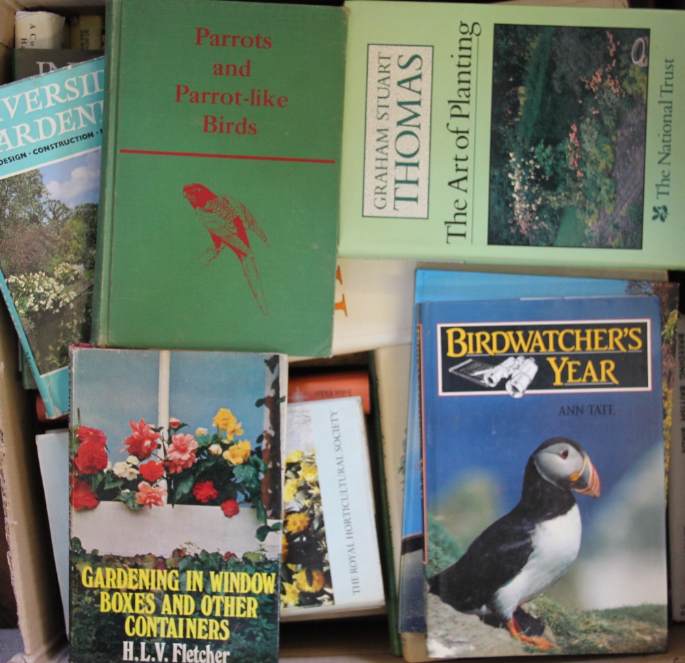 A miscellany of natural history and animal boxes (5 boxes)