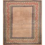 TAPPETO WISS, trama e ordito in cotone, vello in lana. Persia XX secolo Misure: cm 134 x 167