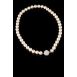 A cultured pearl and diamond necklace
Fine cultured pearls, white gold diamond paved clasp
Portugal,