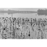 René Burri (1933 – Zürich – 2014)„KUNG MIN-LAKE, SUMMER PALACE BEIJING“. 1964Vintage.