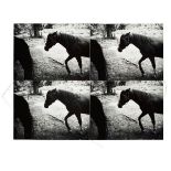 Andy Warhol (1928 Pittsburgh – 1987 New York)Horses. 19864 Photographien, aneinandergenäht und auf