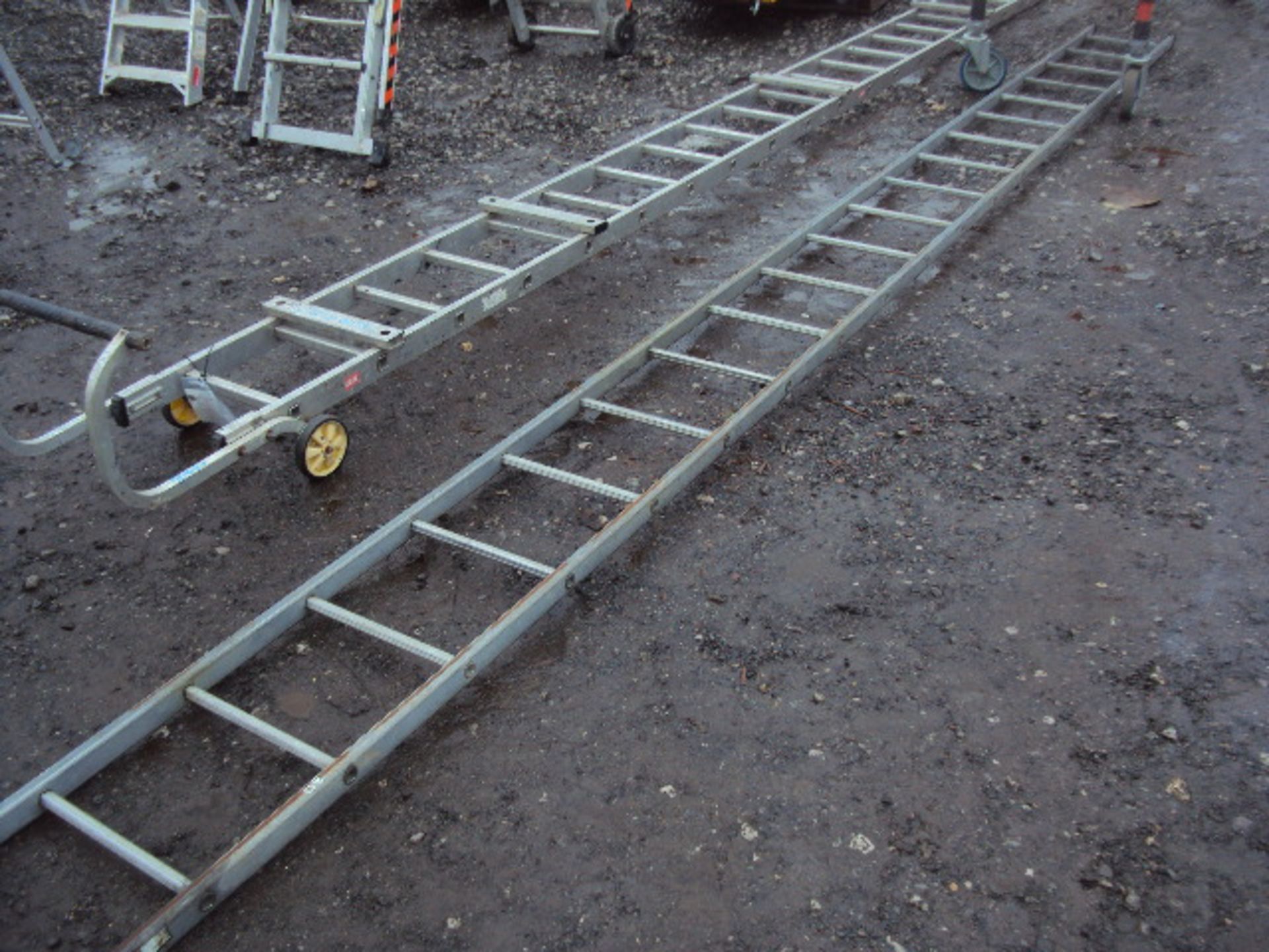 Galvanised single ladder