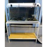 Large tropical fish tank with pump,