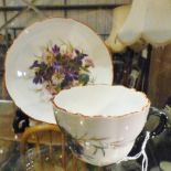Hand painted 19thC Meissen cup and saucer