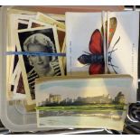 Box of vintage cigarette cards