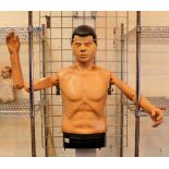 Modern adjustable resuscitation practice mannequin torso