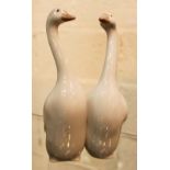 Pair of large Lladro geese with original box