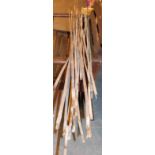 Quantity of bamboo garden canes